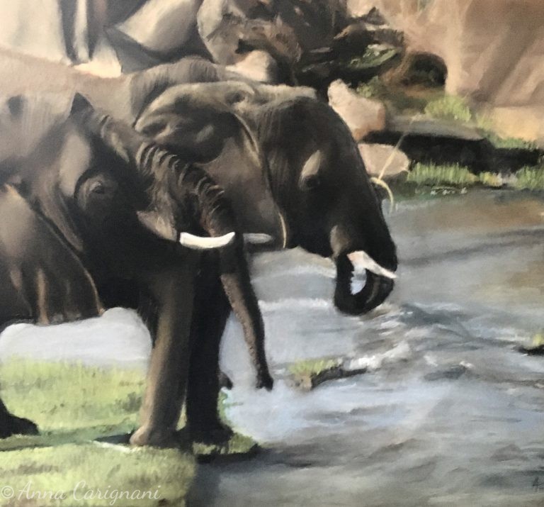 Elefanti della Tanzania